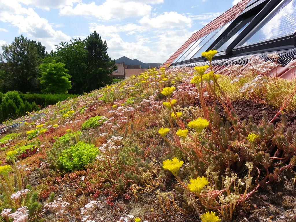 Villa Fleur De Ciel Loos-en-Gohelle Esterno foto