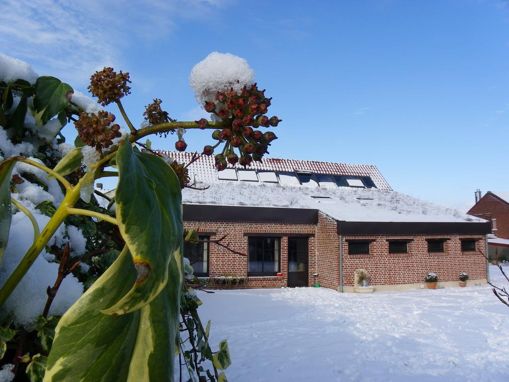 Villa Fleur De Ciel Loos-en-Gohelle Esterno foto