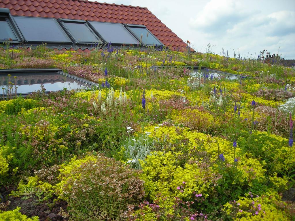 Villa Fleur De Ciel Loos-en-Gohelle Esterno foto